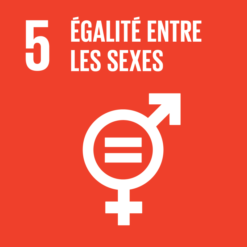 ODD 5 — Égalité entre les sexes