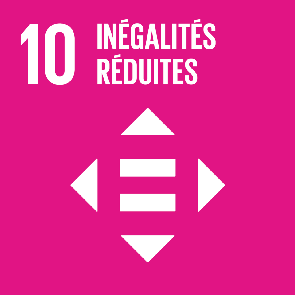 ODD 10 — Inégalités réduites